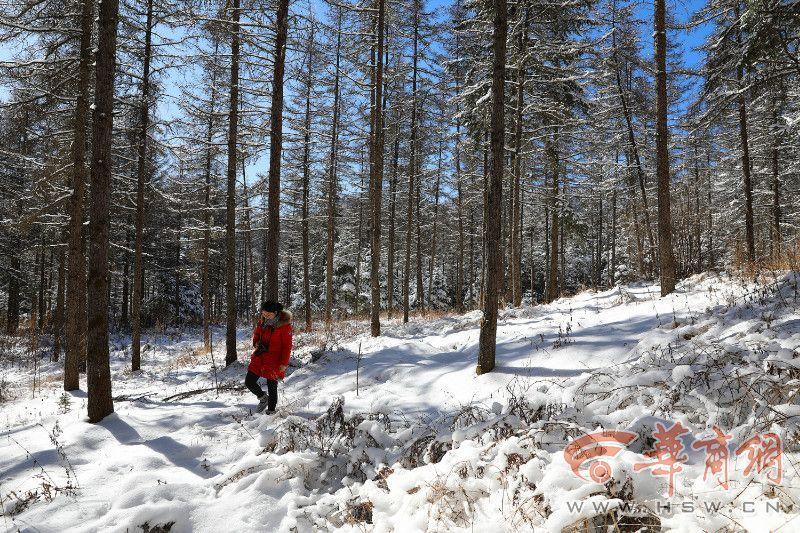 “心连心走基层、面对面解难题”活动一批先进单位和个人获表扬