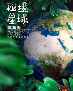 时尚拼接牛仔裤