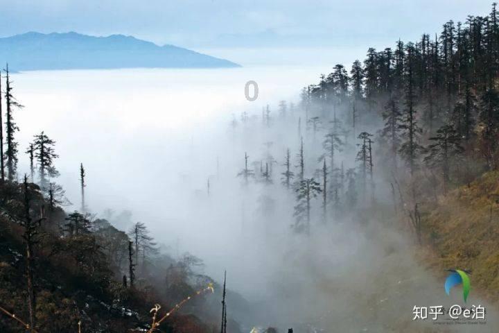 全民烧脑3去广告版