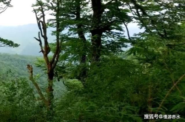 “腊八粥”报年味儿