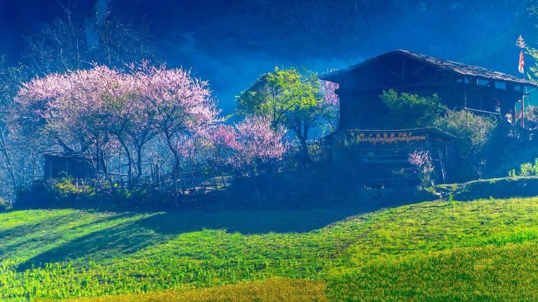 未知的岛屿