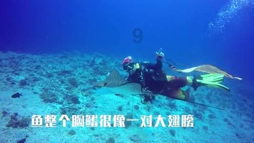 魂之幻影