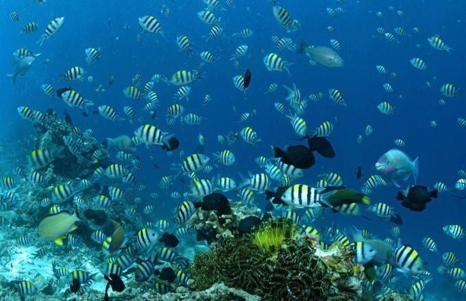 中国文学“海安现象”研讨会召开 探寻人文经济繁荣共生的“县域密码”