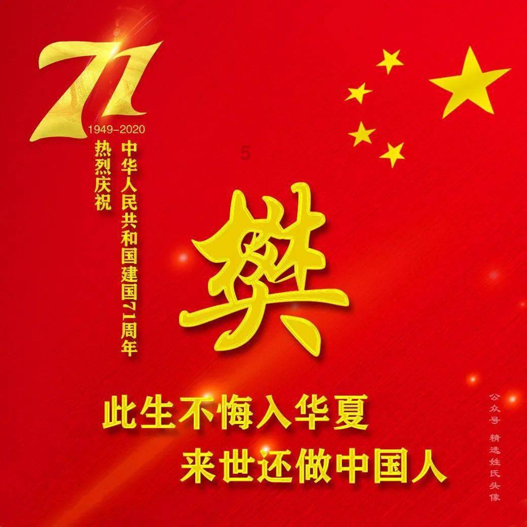 救援小袋熊