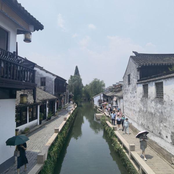逃离橡子树种植地