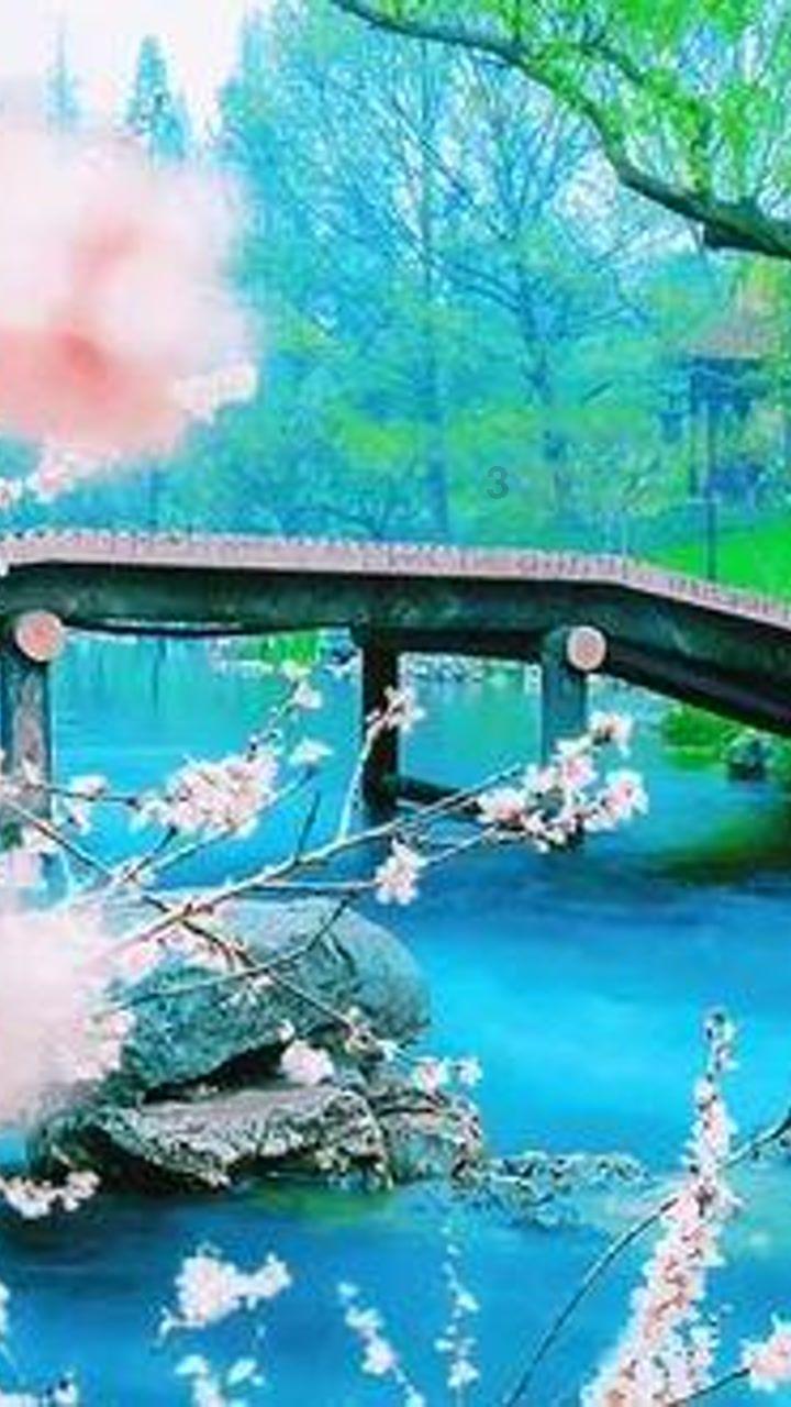 海盗寻宝记选关版